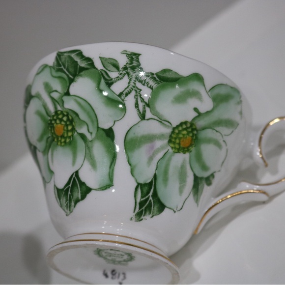 Queen Anne “Magnolia” Teacup & Saucer Bone China England Collectible - Picture 10 of 16